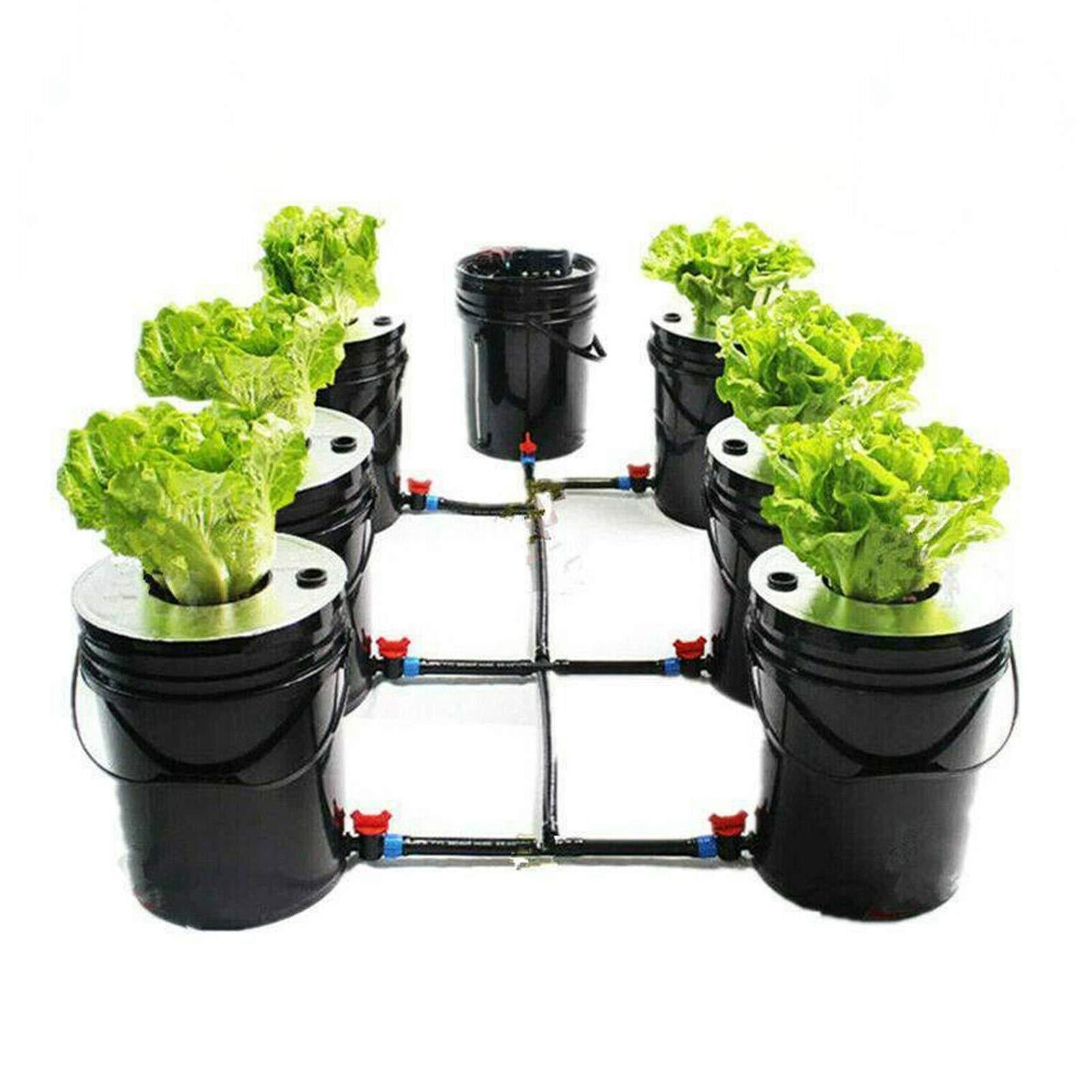 Kit de culture hydroponique pour site de plantation, système de plantes de  jardin, boîte à outils