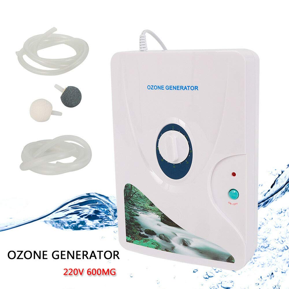 Générateur D'ozone Multifonctionnel de Purifer de Générateur D'ozone  220V avec une Minuterie 600mg / h