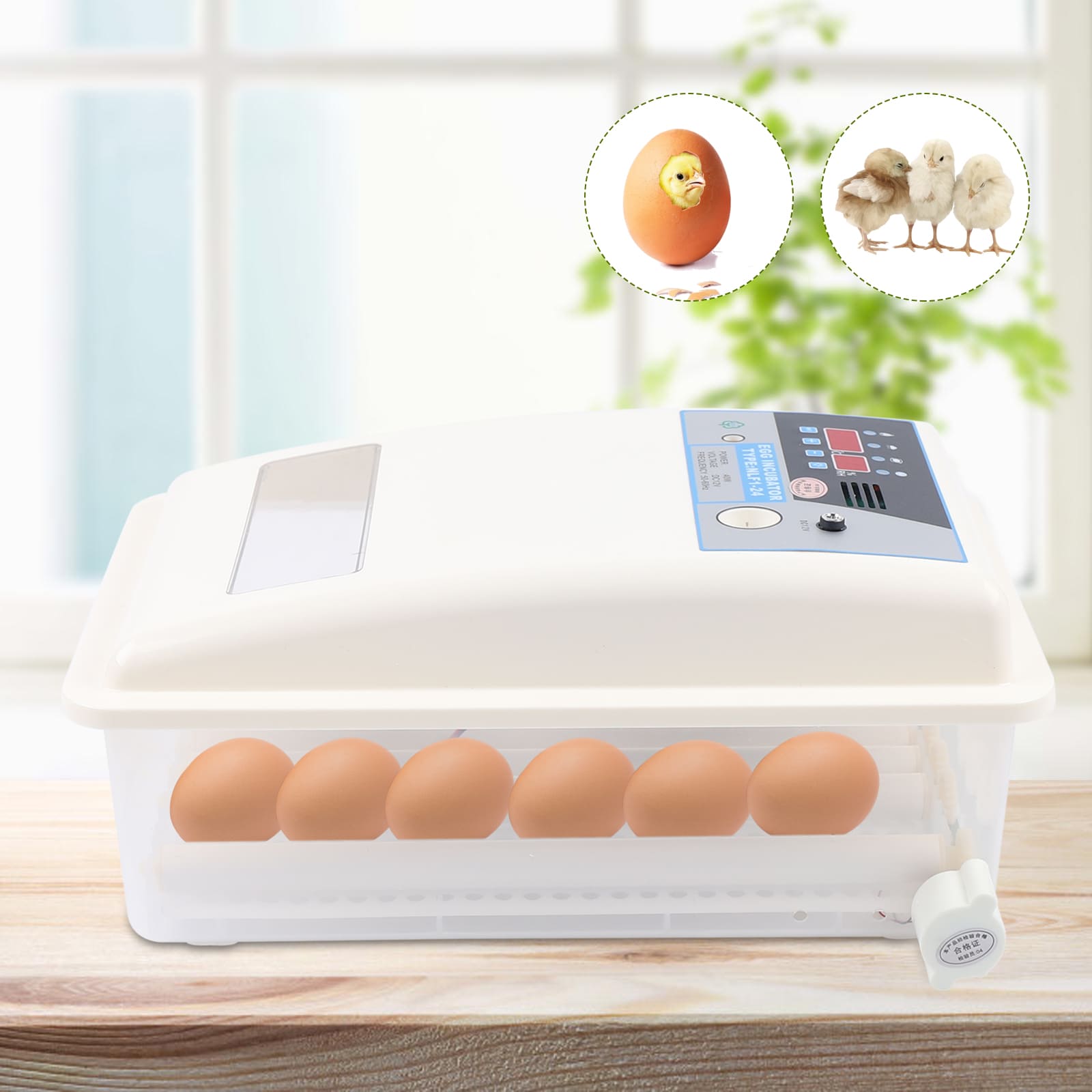 Incubateur 24 œufs entièrement automatique