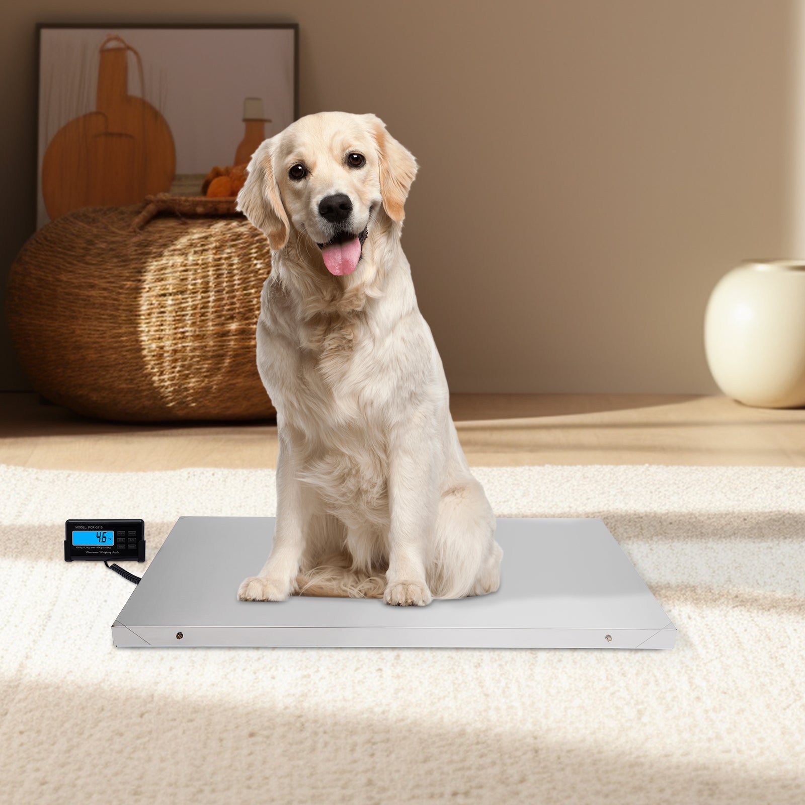 Balance de sol - Balance numérique en acier inoxydable - Pour grand chien - 300 kg