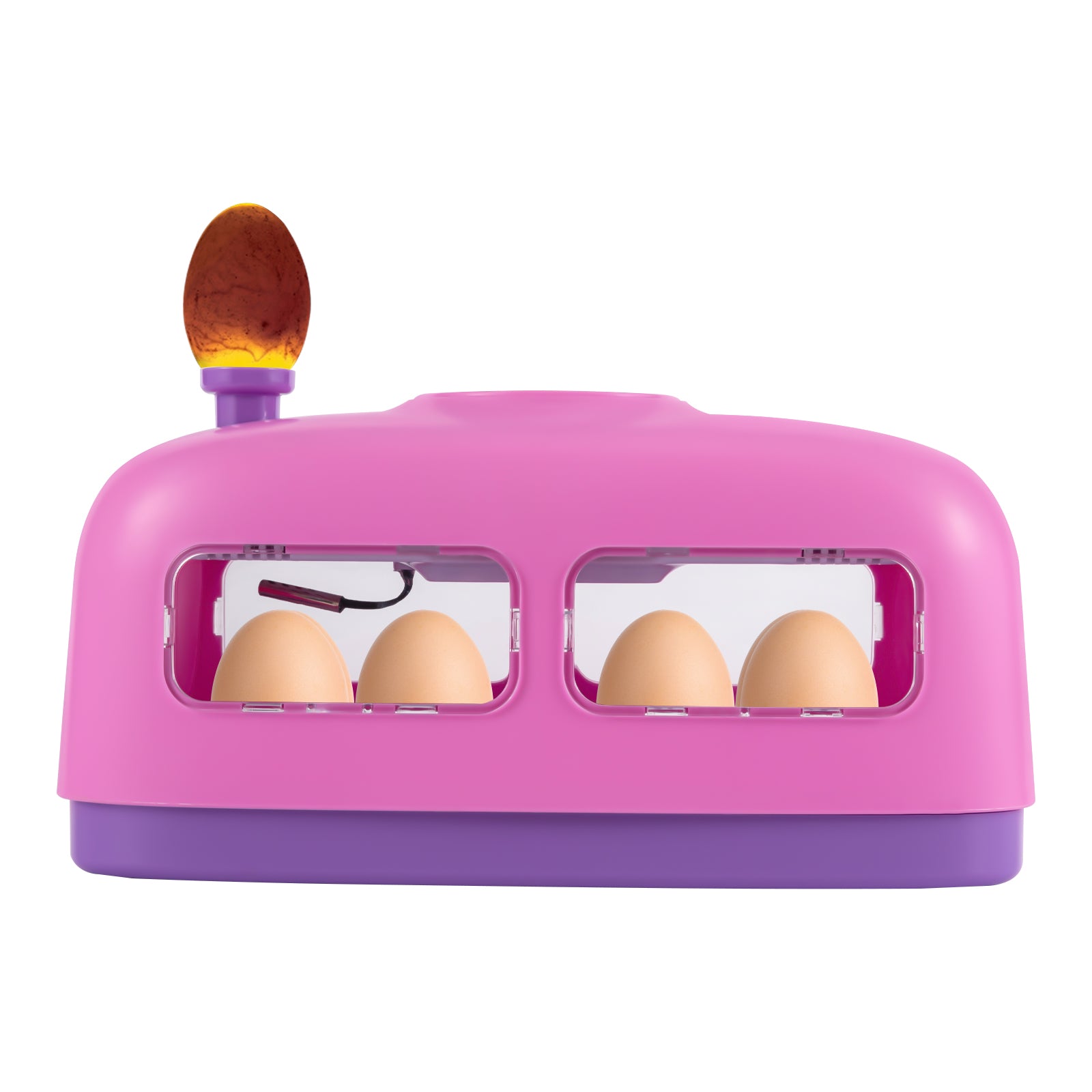 Incubateur d'œufs, incubateur numérique automatique