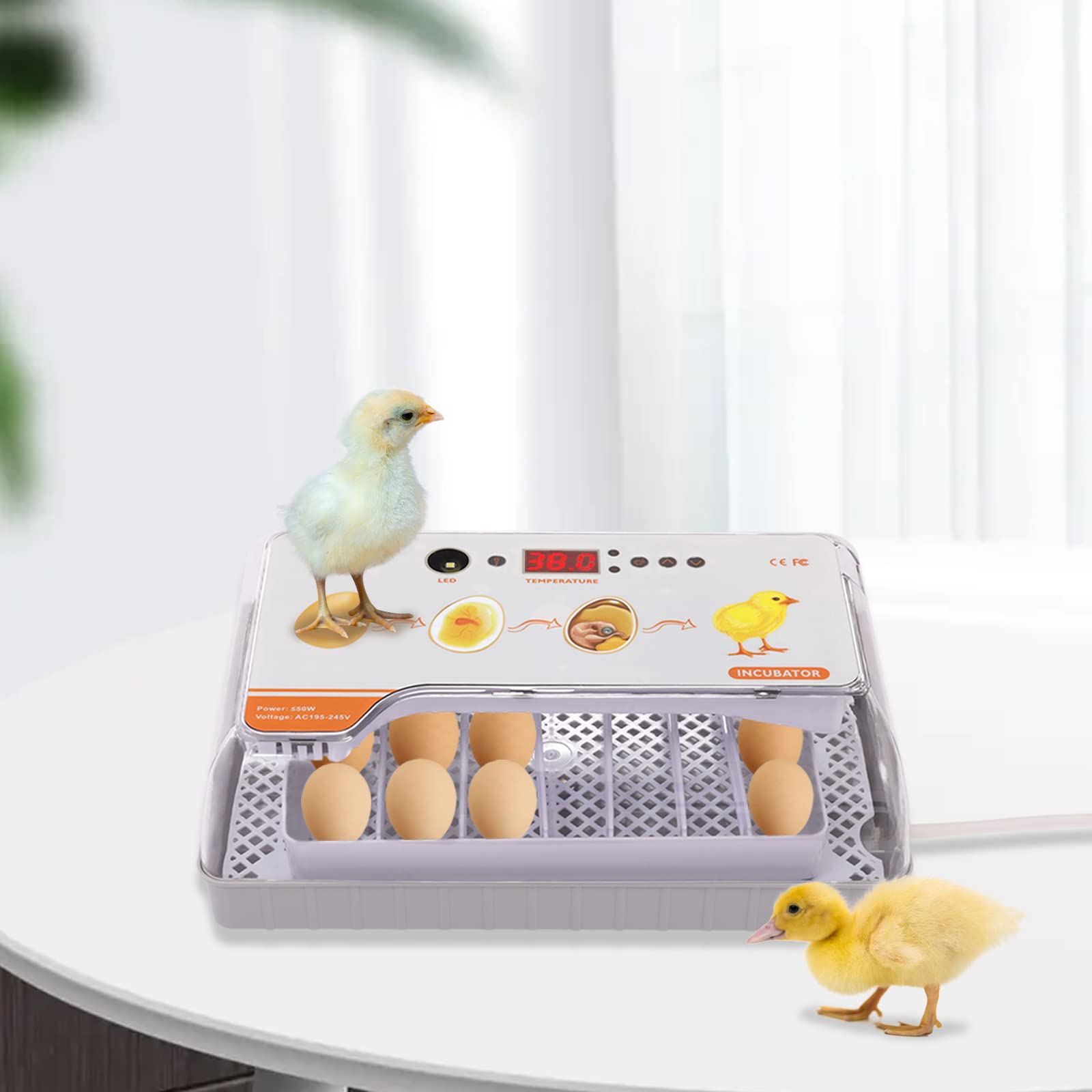 Incubateur d'oeuf entièrement automatique 20 œufs