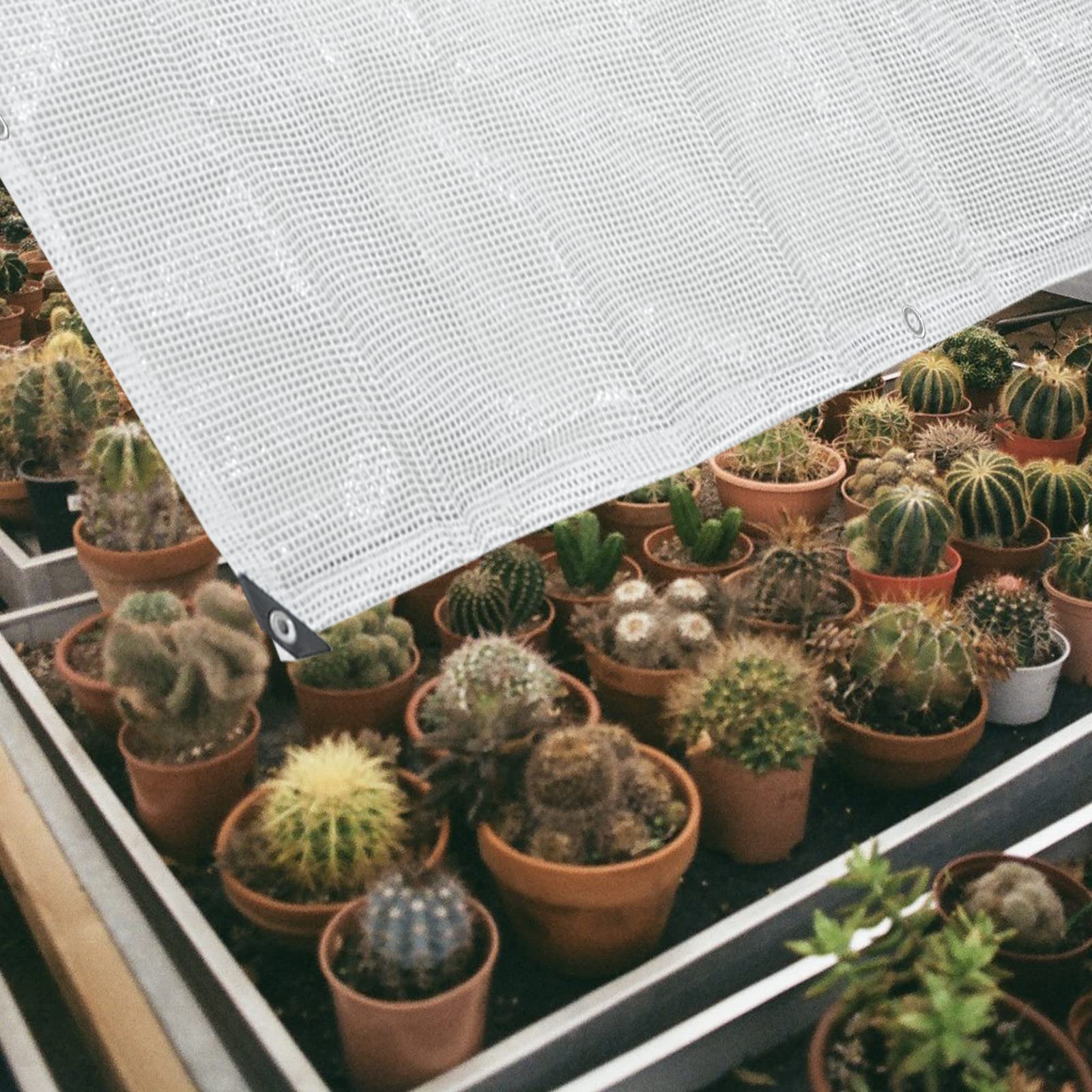 Bâche de serre imperméable et résistante en polyéthylène transparent pour les cours, les jardins, les toits (6,1 x 4,87 m)