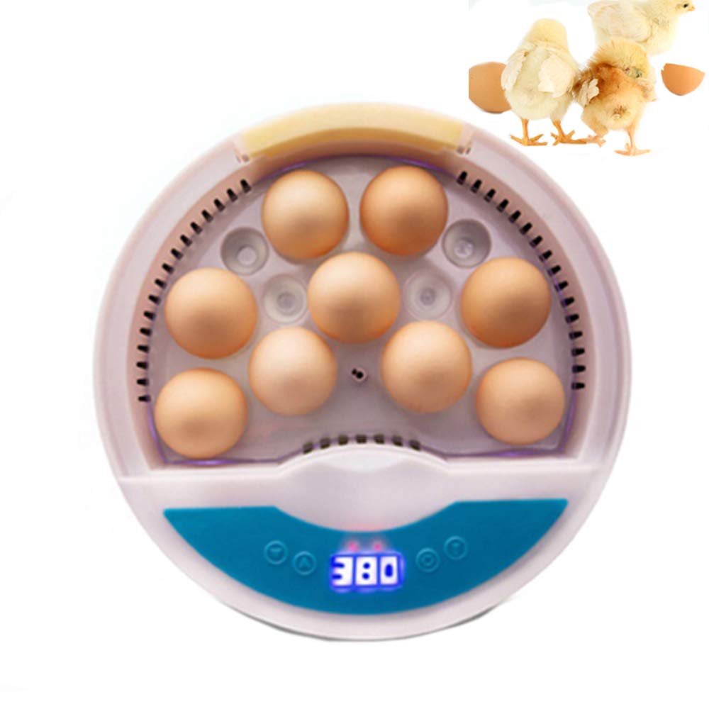 Incubateur entièrement automatique 9 œufs