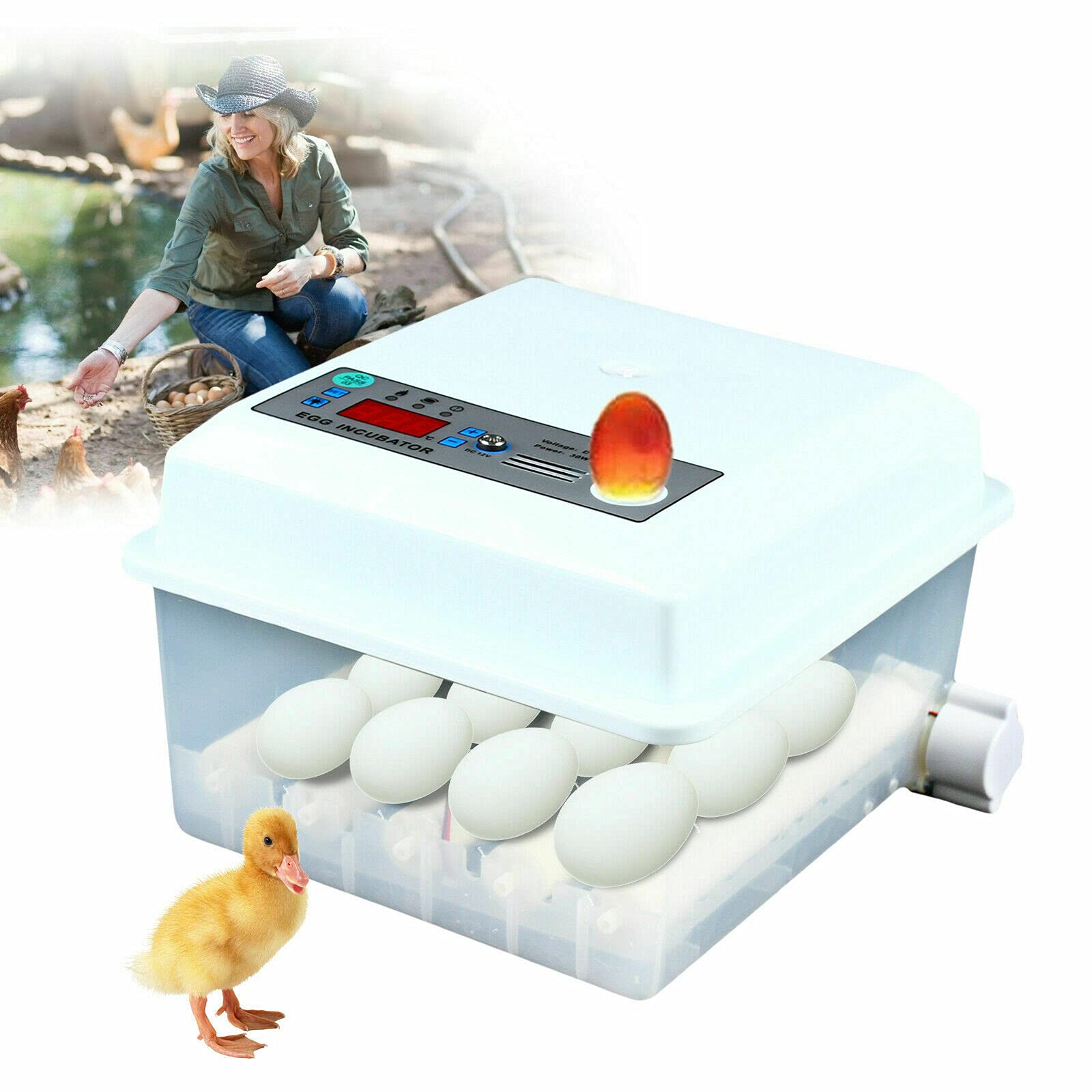 Incubateur 16 œufs 60 W