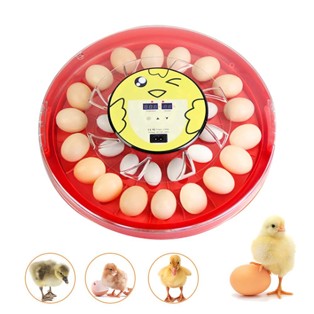 Incubateur à 30 œufs entièrement automatique 