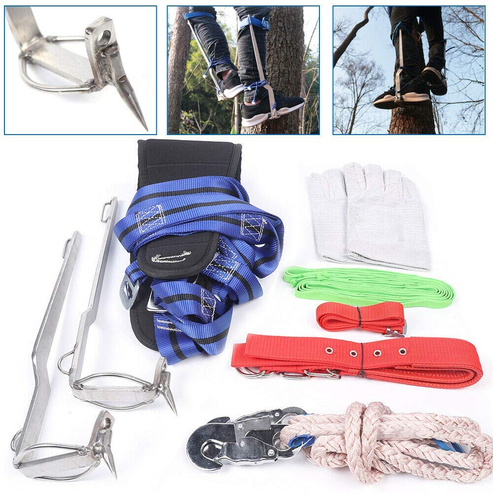 Kit d'équipement d'escalade pour arbres