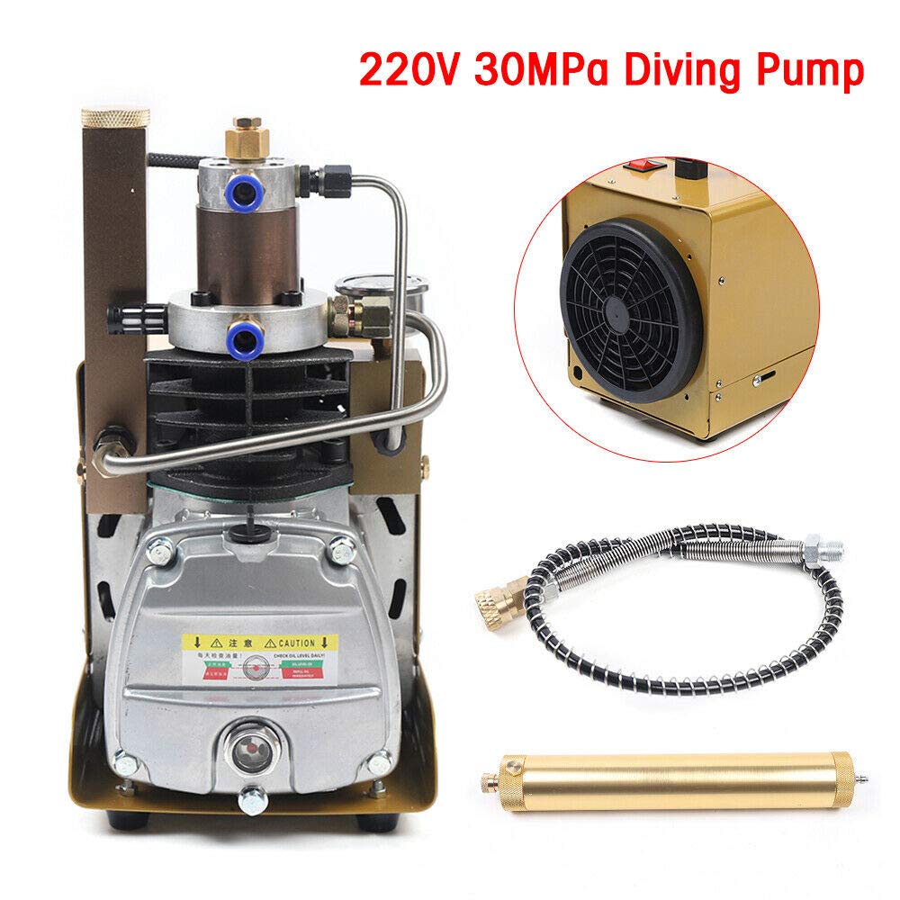 Pompe submersible électrique 220V 