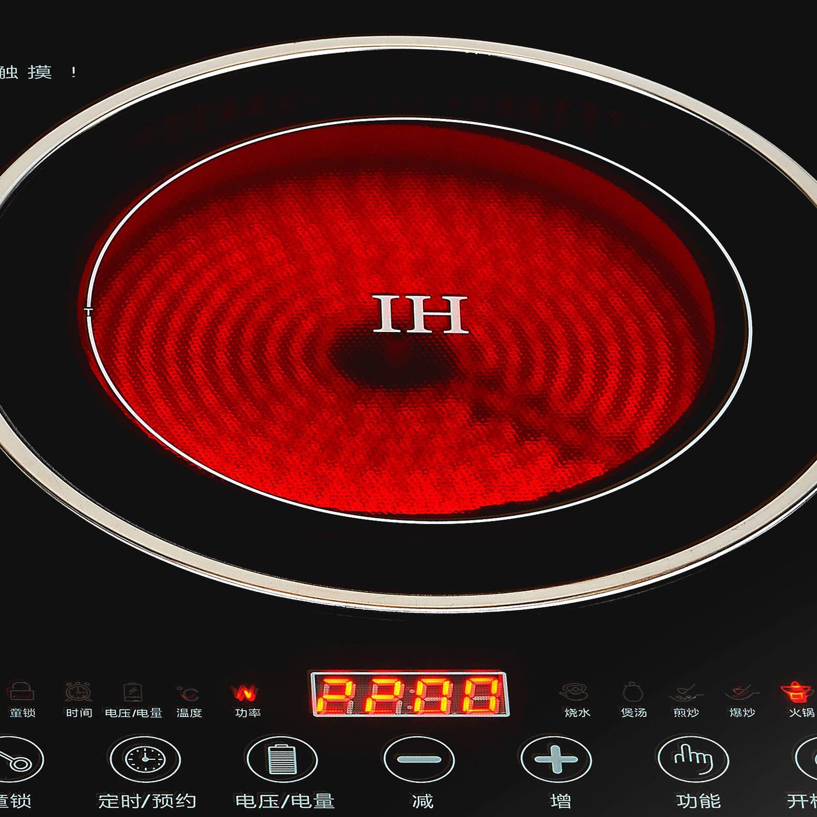 Electric Double Induction Cooktop,110V LCD Display Induction Hot Plate
