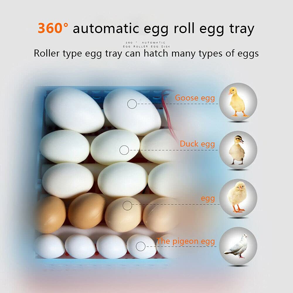 Incubateur de 24 œufs entièrement automatique