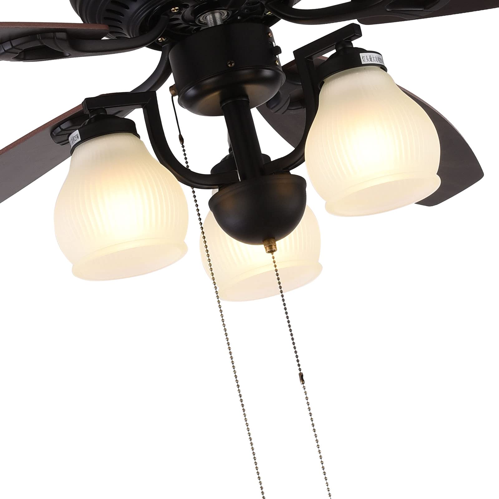  Indoor Ceiling Fan with Lights