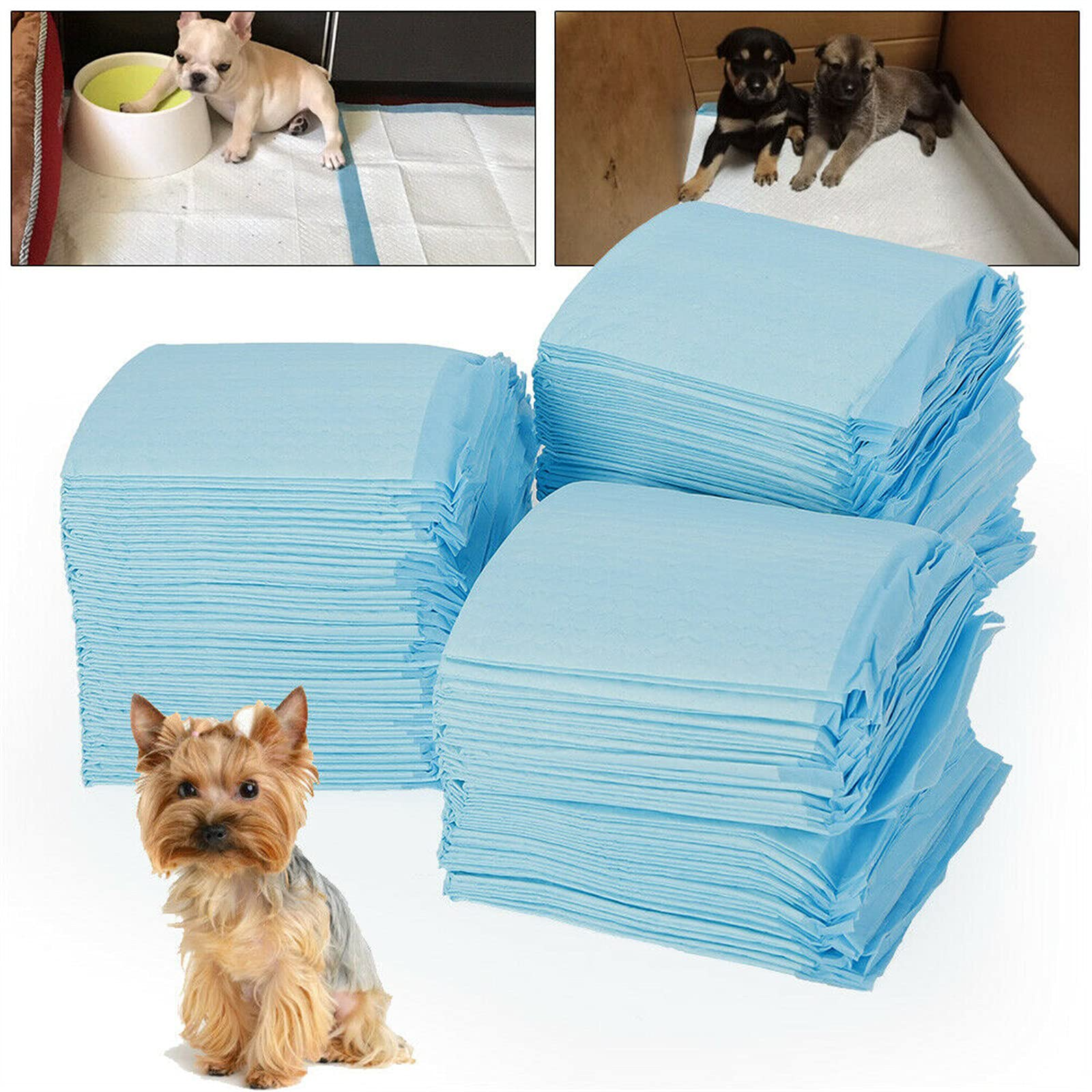 Lot de 100 tapis de dressage pour animal domestique, chien, chat, tapis de jeu sûr et non toxique à utiliser 33 x 45 cm