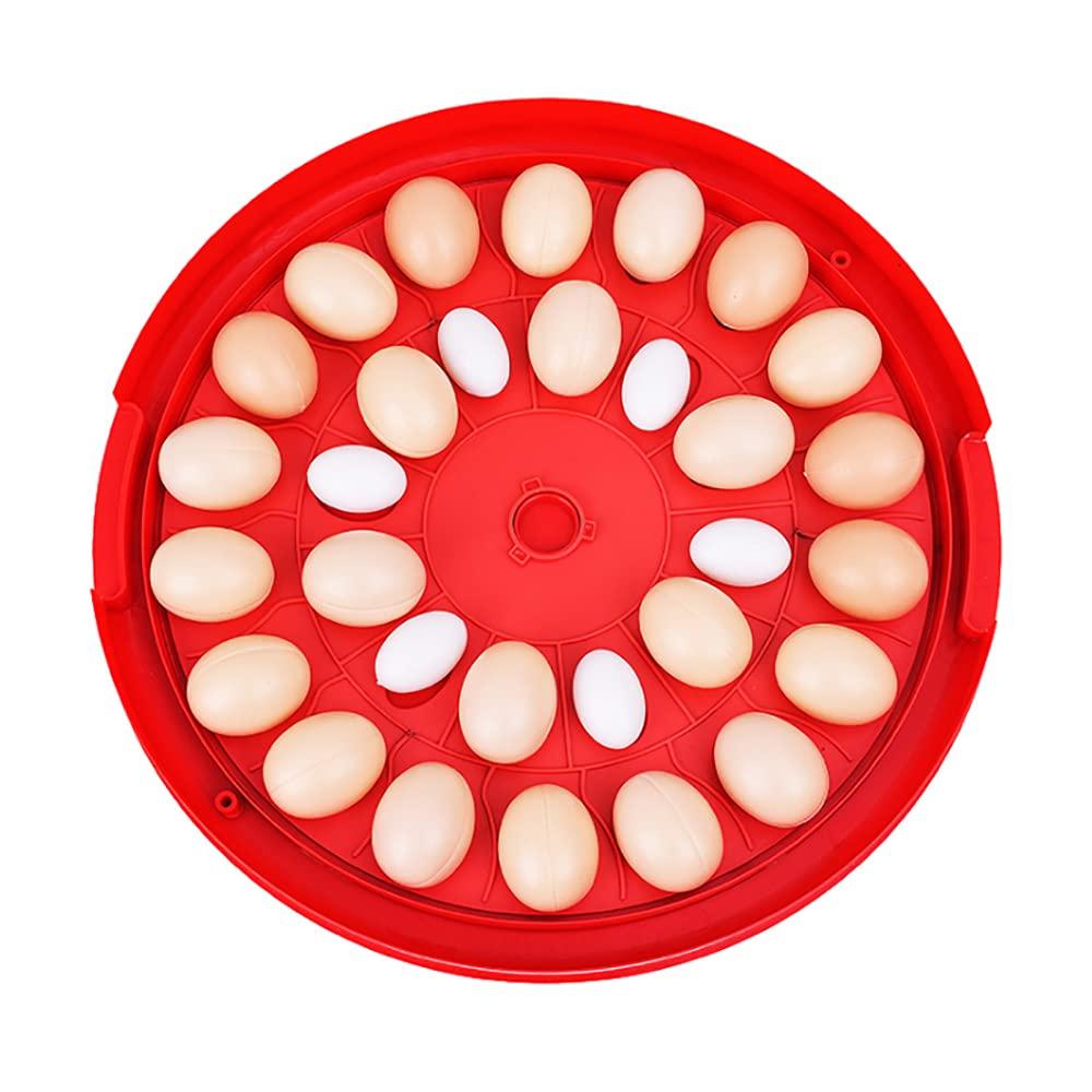  Incubateur à 30 œufs entièrement automatique