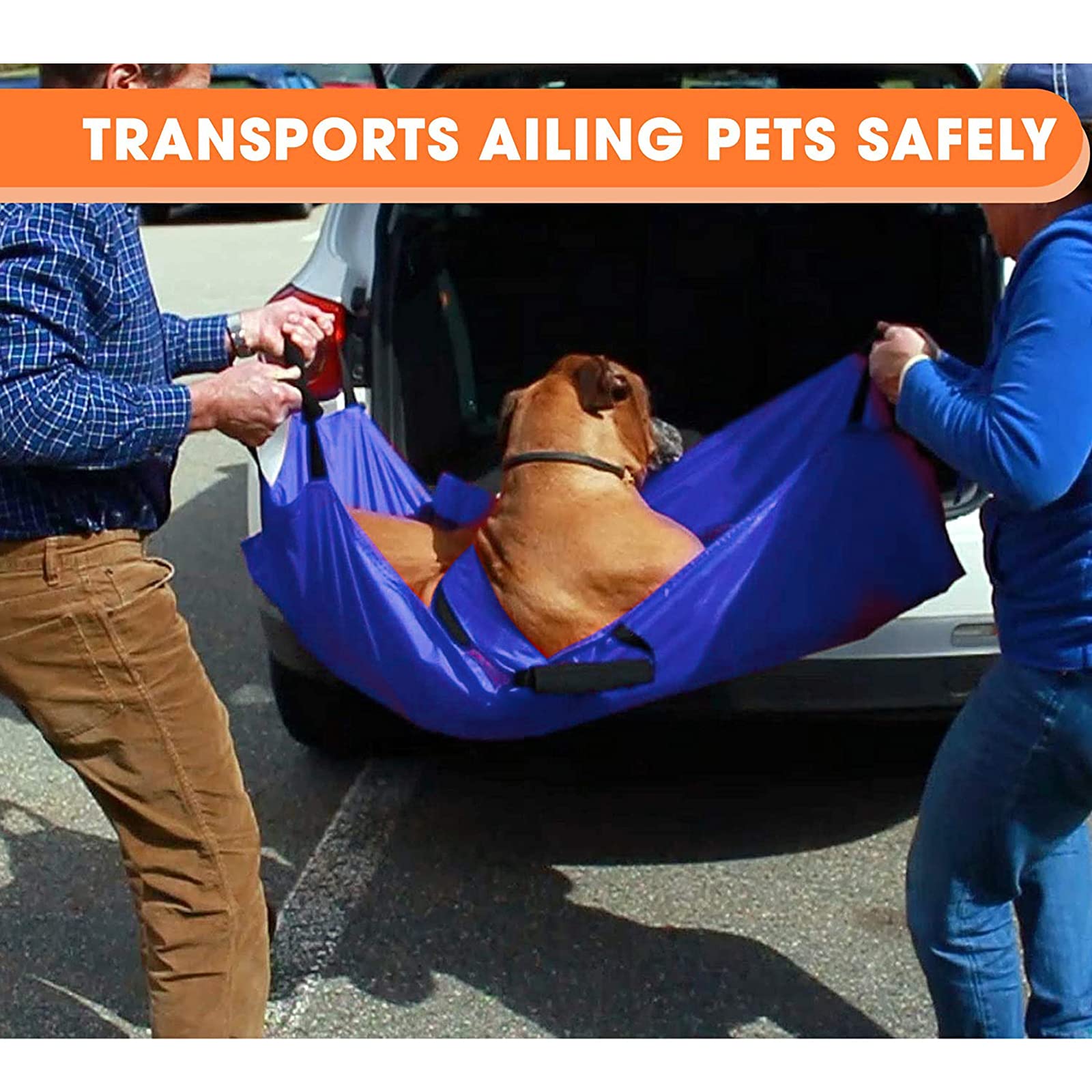 Porte-transport pour animal de compagnie + ceinture de sécurité 6 poignées 242 lb 110 kg